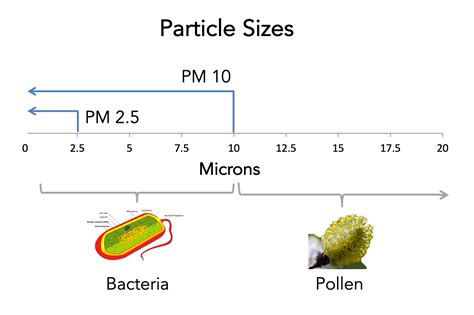 pm size meaning